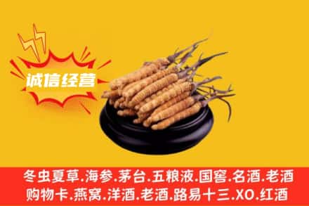 大同市左云回收冬虫夏草